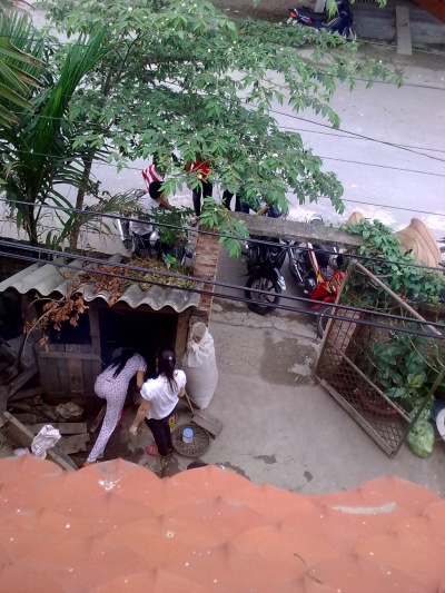 LINH0156
